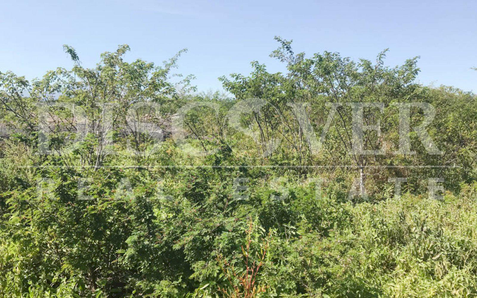 https://images.discovernica.com/propiedad/1600/finca_venta_ciudad_leon_6_manzanas_U_250.00_cada_manzana_ID11401_3.jpg