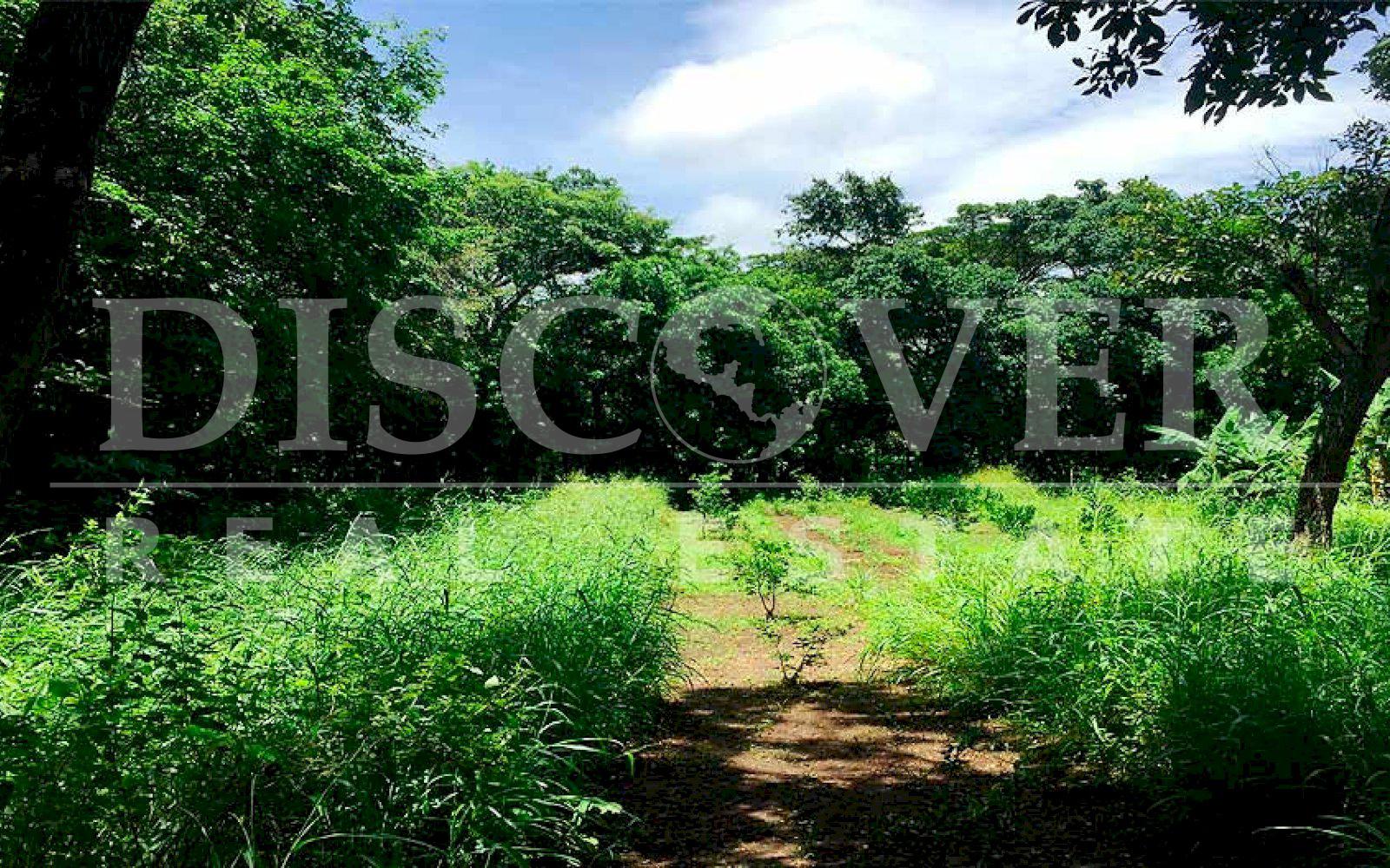 https://images.discovernica.com/propiedad/1600/finca_venta_diriomo_granada_nicaragua_id_10177_1.jpg