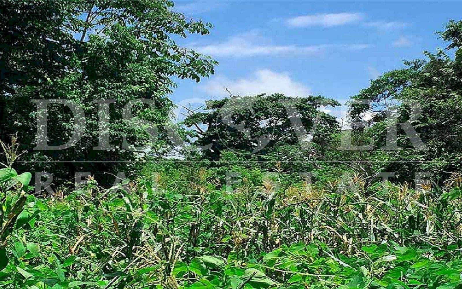 https://images.discovernica.com/propiedad/1600/finca_venta_diriomo_granada_nicaragua_id_10177_4.jpg