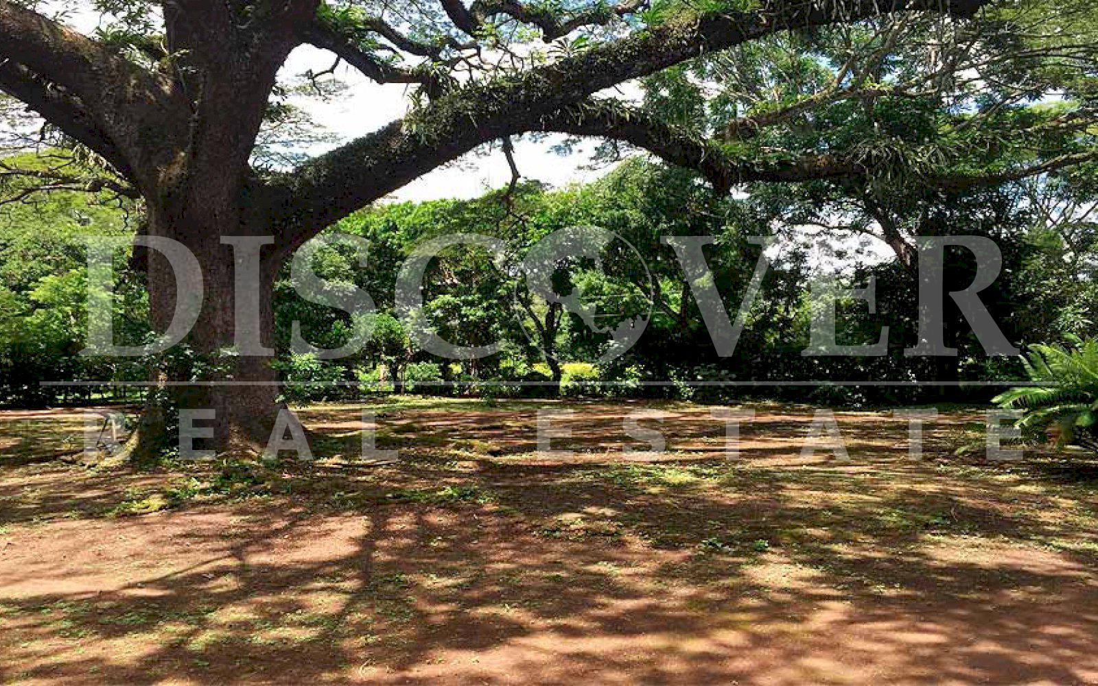 https://images.discovernica.com/propiedad/1600/finca_venta_diriomo_granada_nicaragua_id_10177_5.jpg