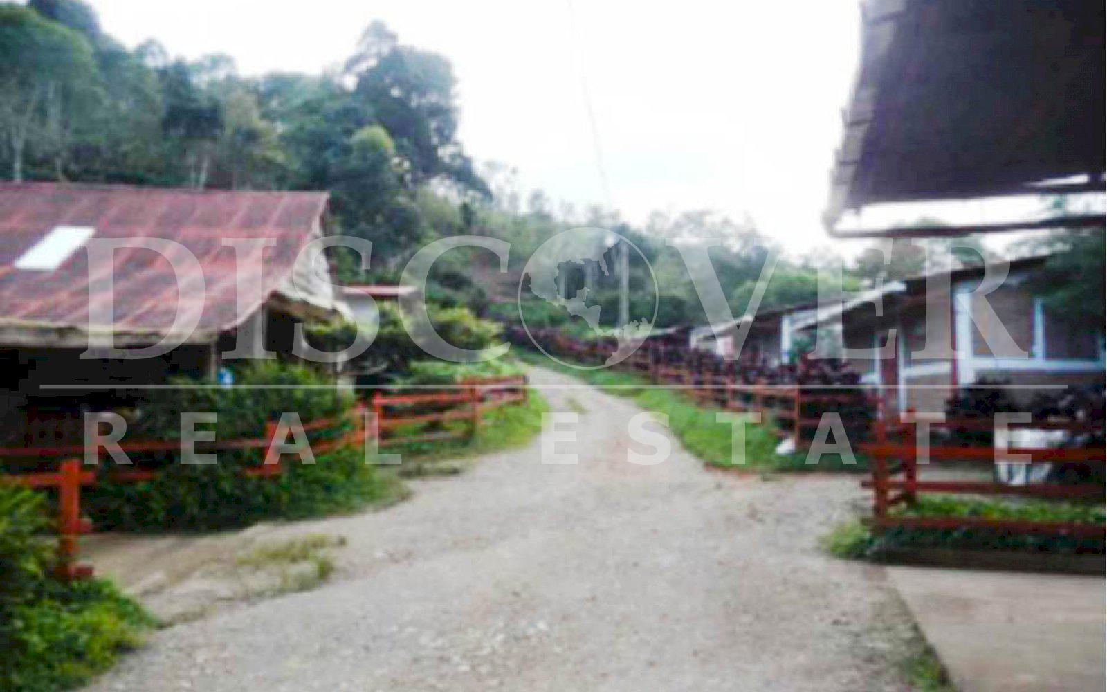 https://images.discovernica.com/propiedad/1600/finca_venta_matagalpa_cafe_vista_panoramica_excelente_acceso_ID11435.jpg