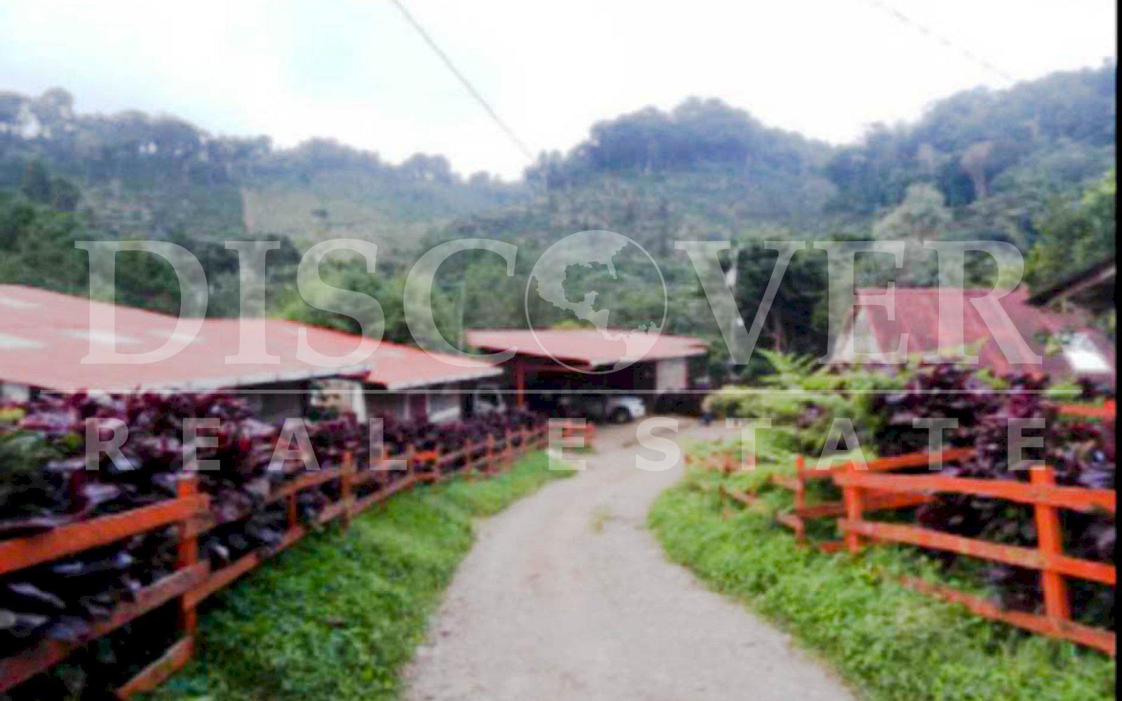 https://images.discovernica.com/propiedad/1600/finca_venta_matagalpa_cafe_vista_panoramica_excelente_acceso_ID11435_4.jpg