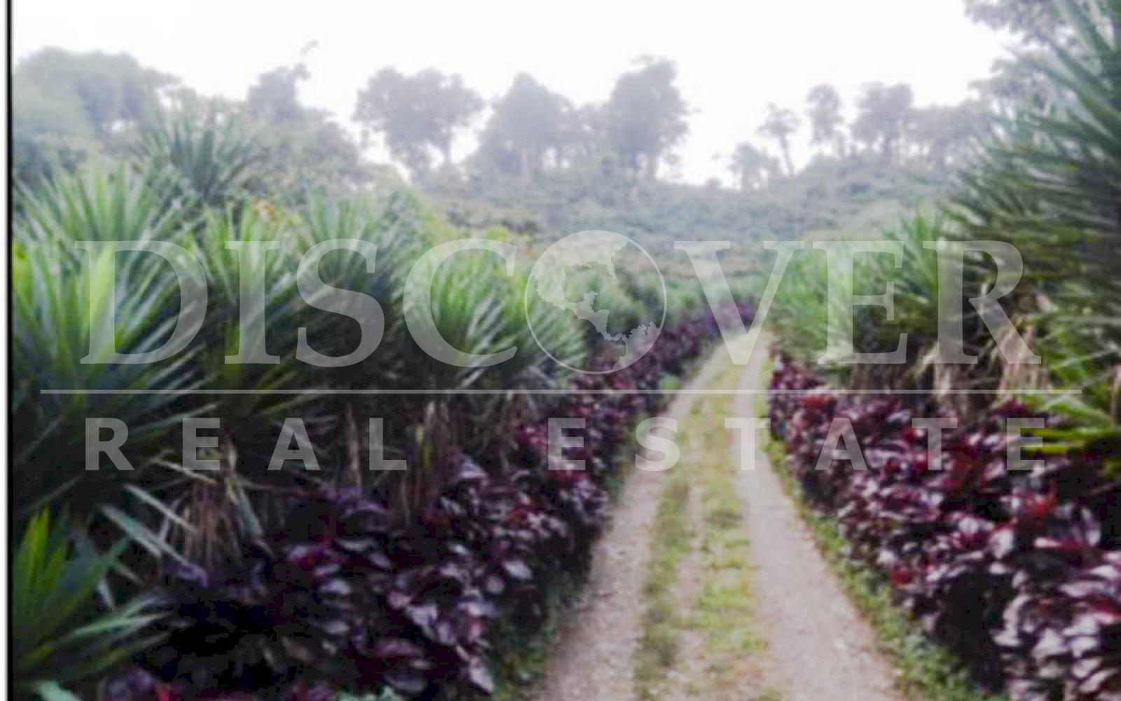 https://images.discovernica.com/propiedad/1600/finca_venta_matagalpa_cafe_vista_panoramica_excelente_acceso_ID11435_5.jpg