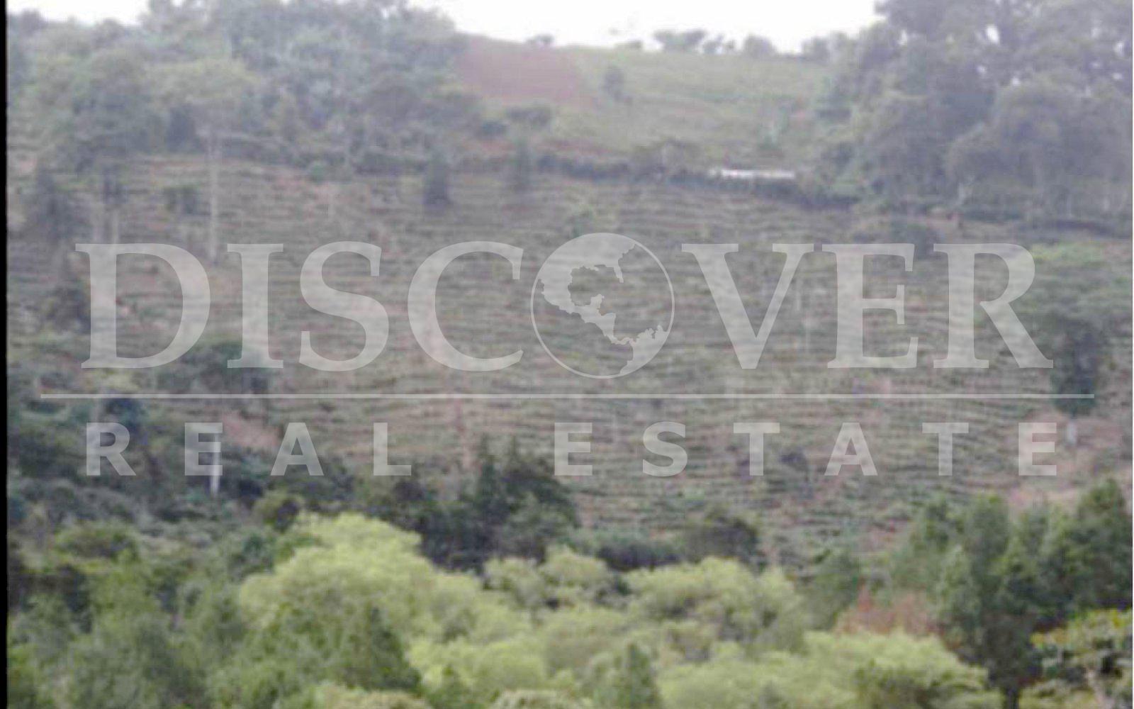 https://images.discovernica.com/propiedad/1600/finca_venta_matagalpa_cafe_vista_panoramica_excelente_acceso_ID11435_7.jpg