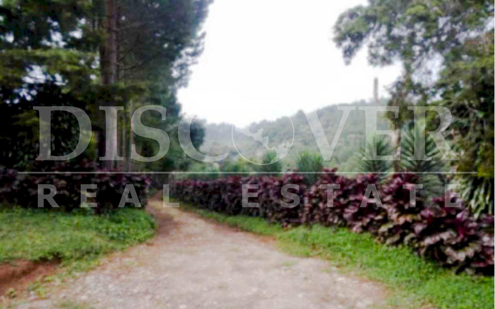 https://images.discovernica.com/propiedad/1600/finca_venta_matagalpa_cafe_vista_panoramica_excelente_acceso_ID11435_8.jpg
