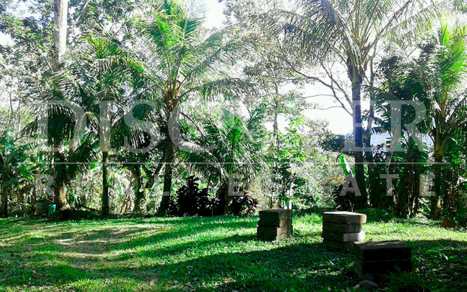 Se vende terreno de 35.3 mz, ubicado en La Dalia, Matagalpa. - Discovernica