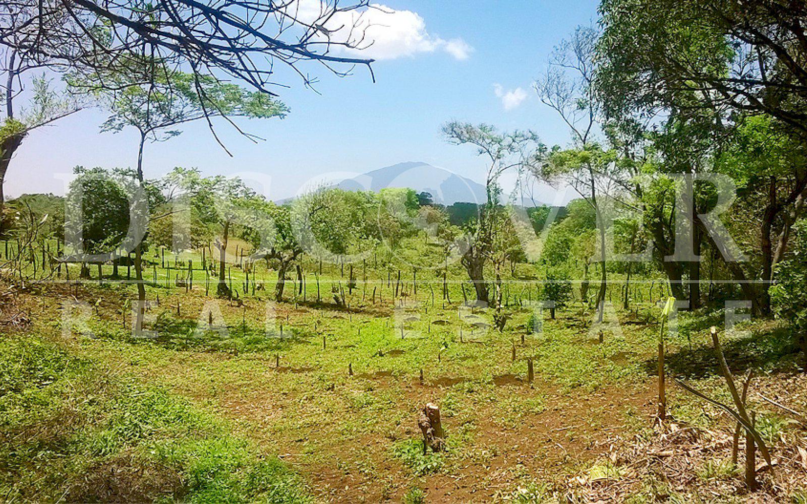 https://images.discovernica.com/propiedad/1600/finca_venta_niquinohomo_masaya_id_9974_11.jpg