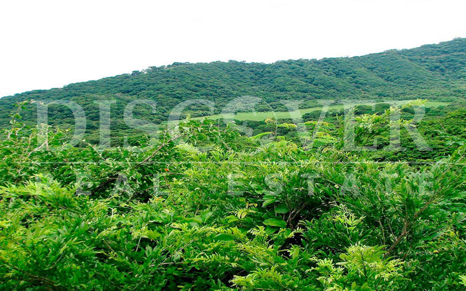 https://images.discovernica.com/propiedad/1600/finca_venta_rivas_id_9989_3.jpg
