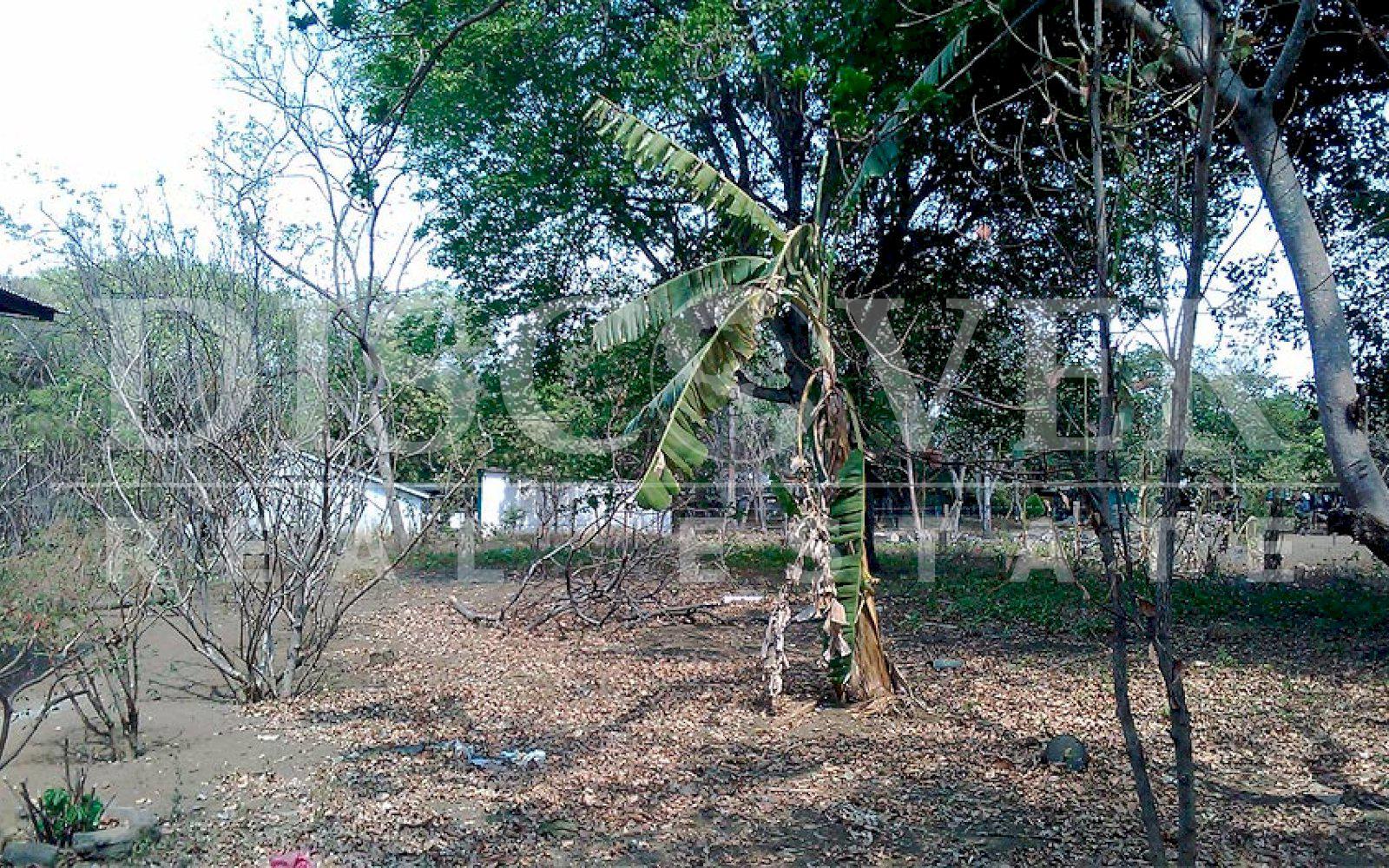 https://images.discovernica.com/propiedad/1600/finca_venta_rivas_id_9989_4.jpg