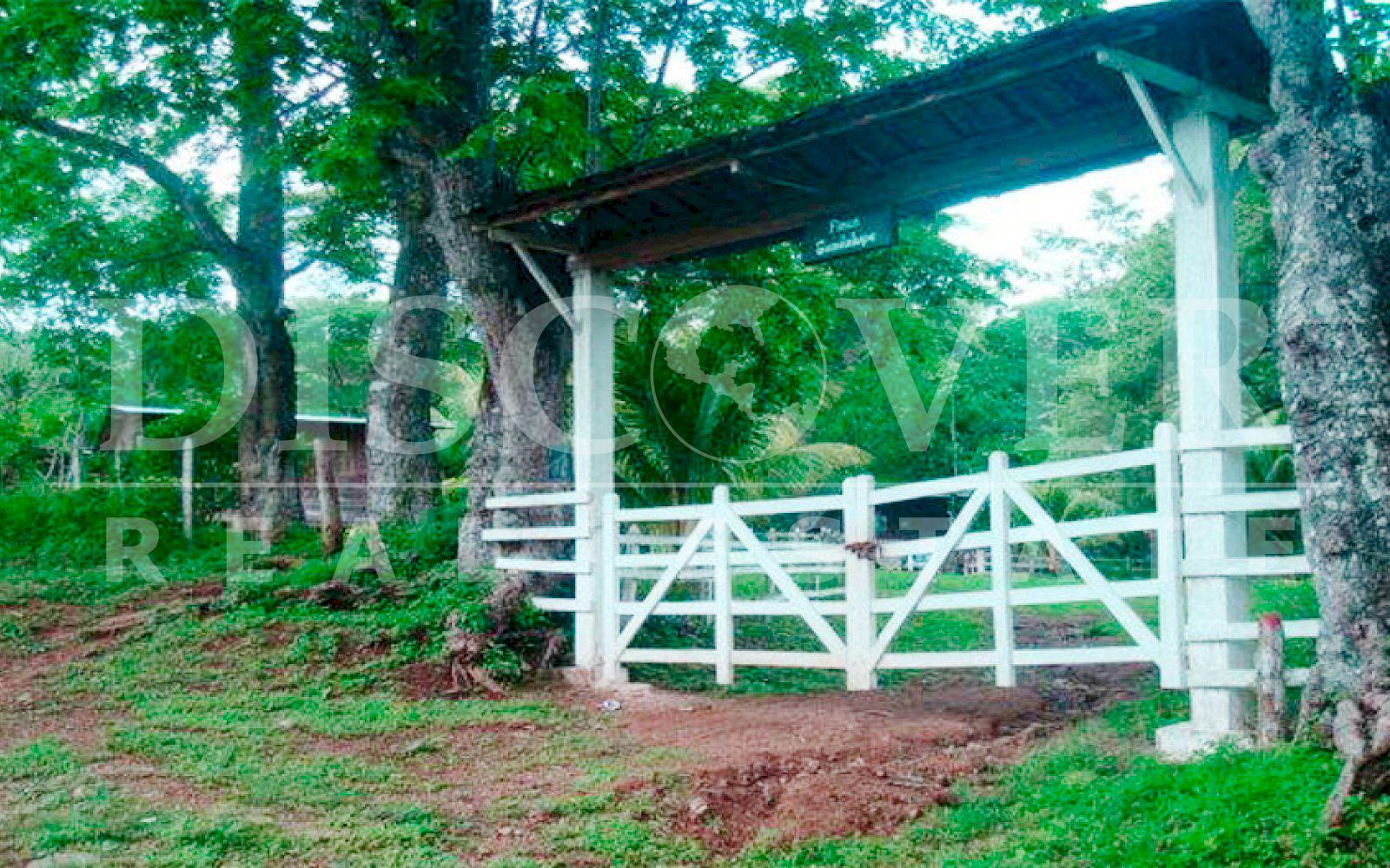 https://images.discovernica.com/propiedad/1600/finca_venta_rivas_sapoa_nicaragua_id_9778_1.jpg