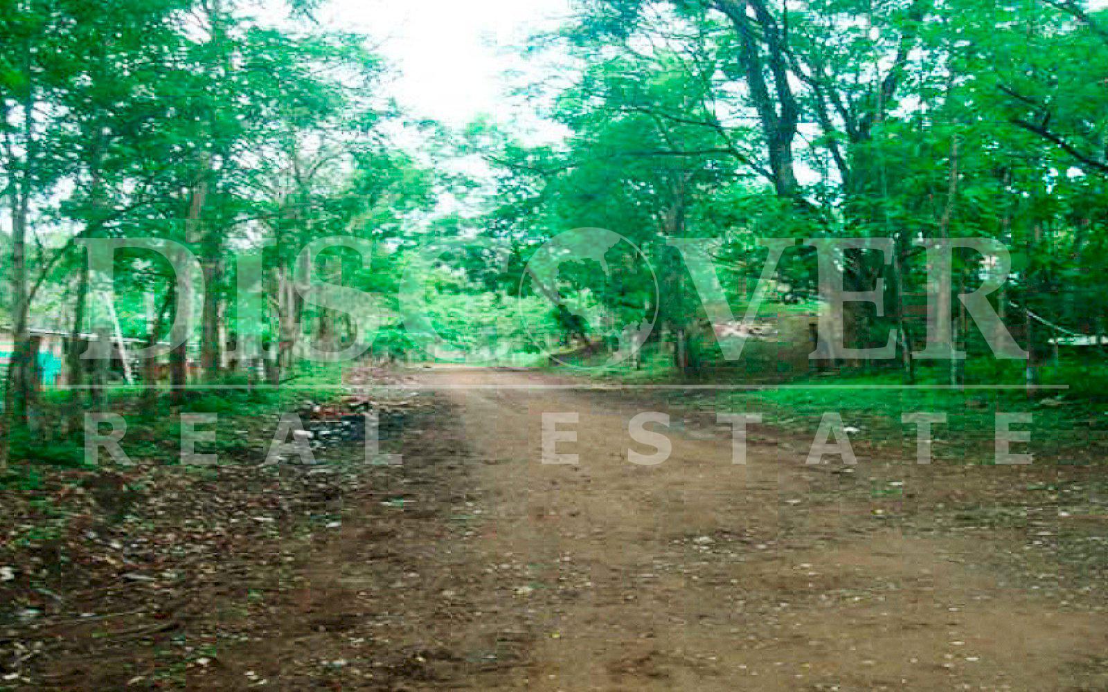 https://images.discovernica.com/propiedad/1600/finca_venta_rivas_sapoa_nicaragua_id_9778_2.jpg