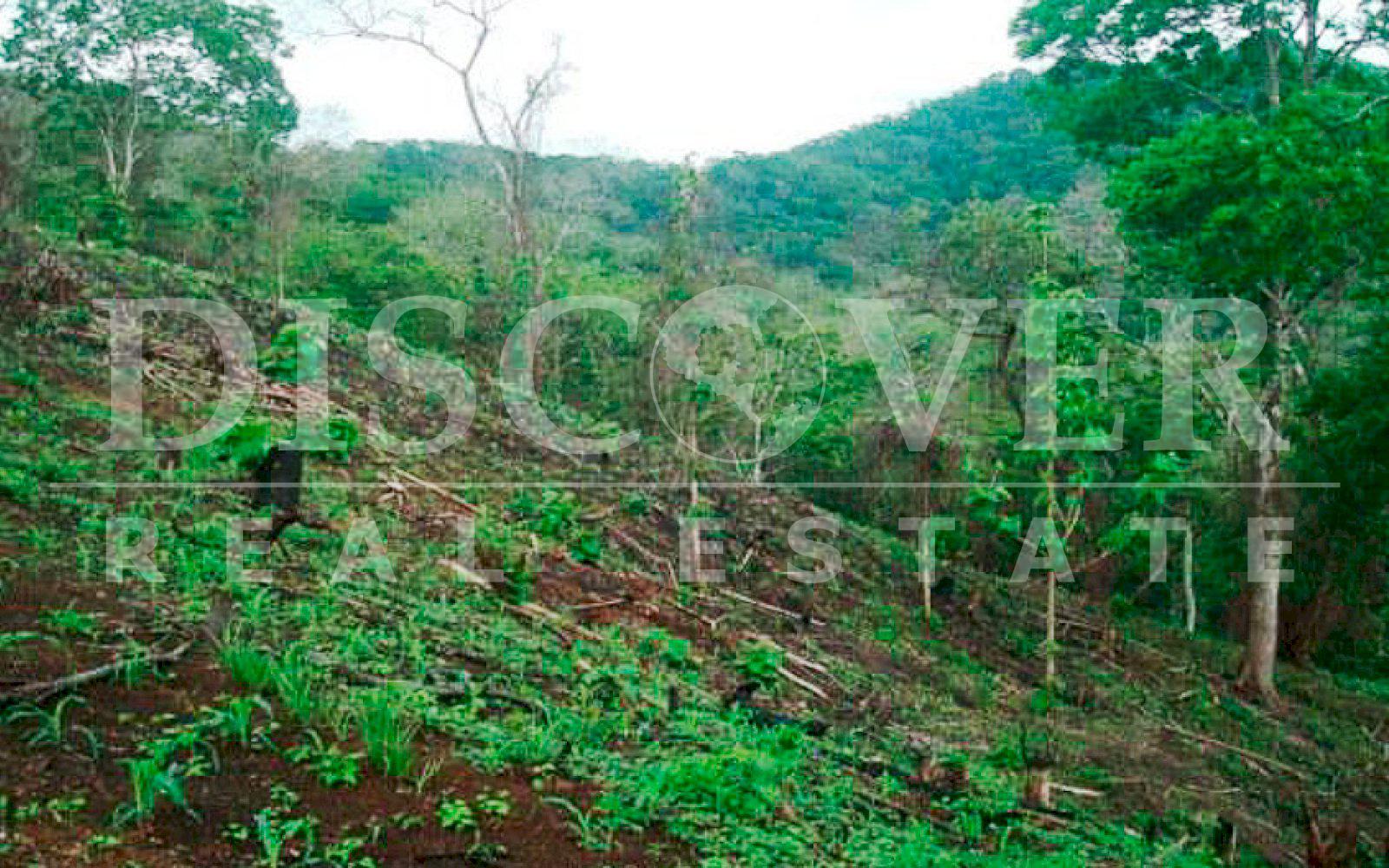 https://images.discovernica.com/propiedad/1600/finca_venta_rivas_sapoa_nicaragua_id_9778_6.jpg