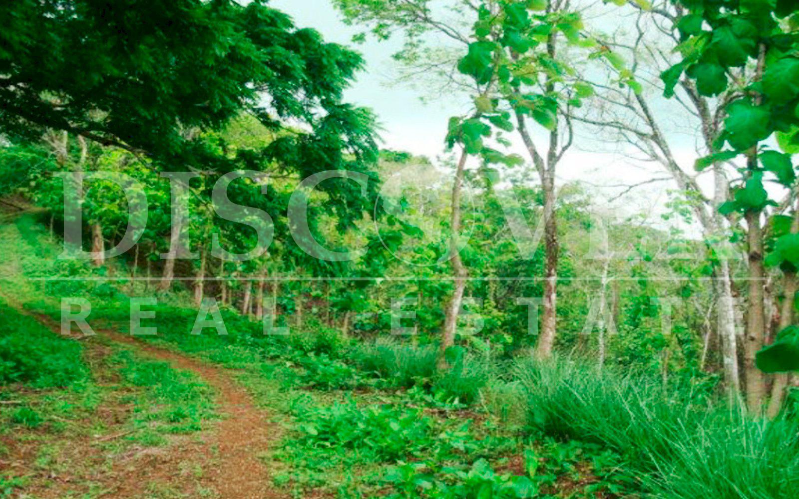 https://images.discovernica.com/propiedad/1600/finca_venta_rivas_sapoa_nicaragua_id_9778_7.jpg