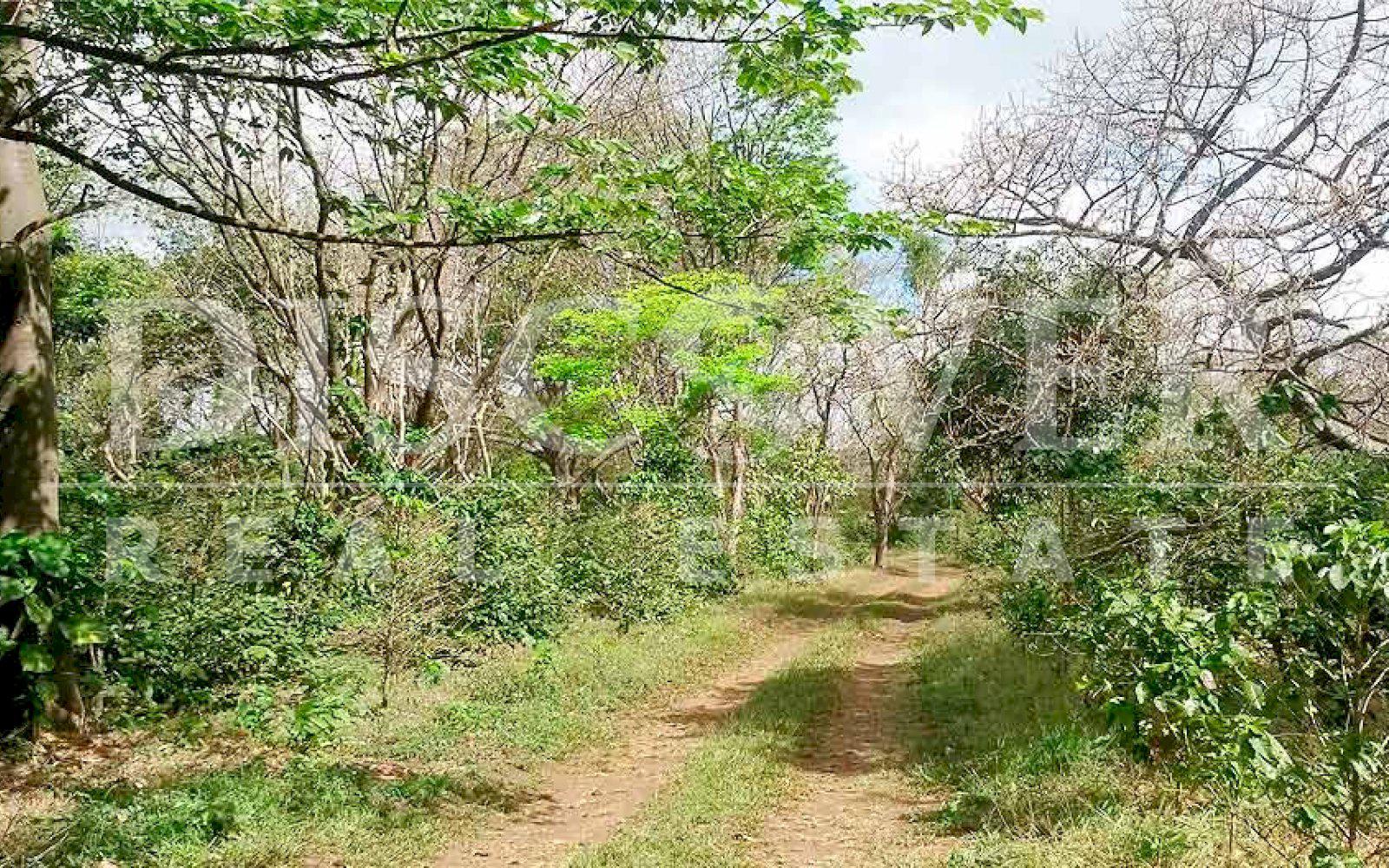 https://images.discovernica.com/propiedad/1600/finca_venta_san_marcos_carazo_id_10071_2.jpg