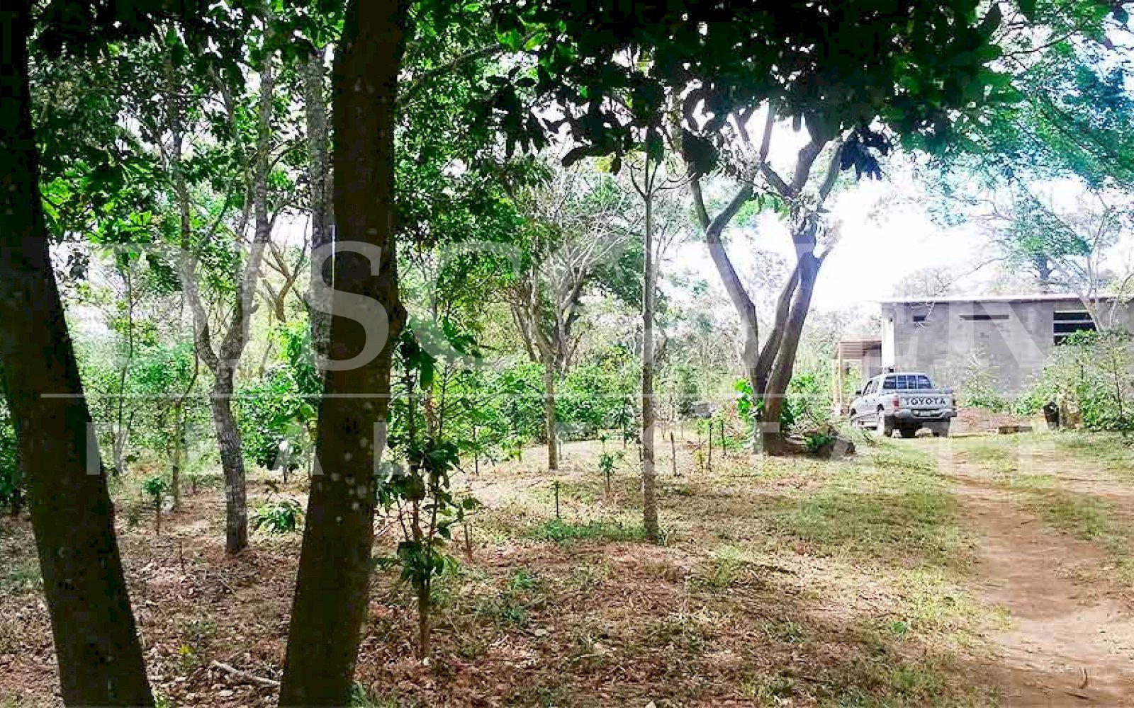 https://images.discovernica.com/propiedad/1600/finca_venta_san_marcos_carazo_id_10071_3.jpg