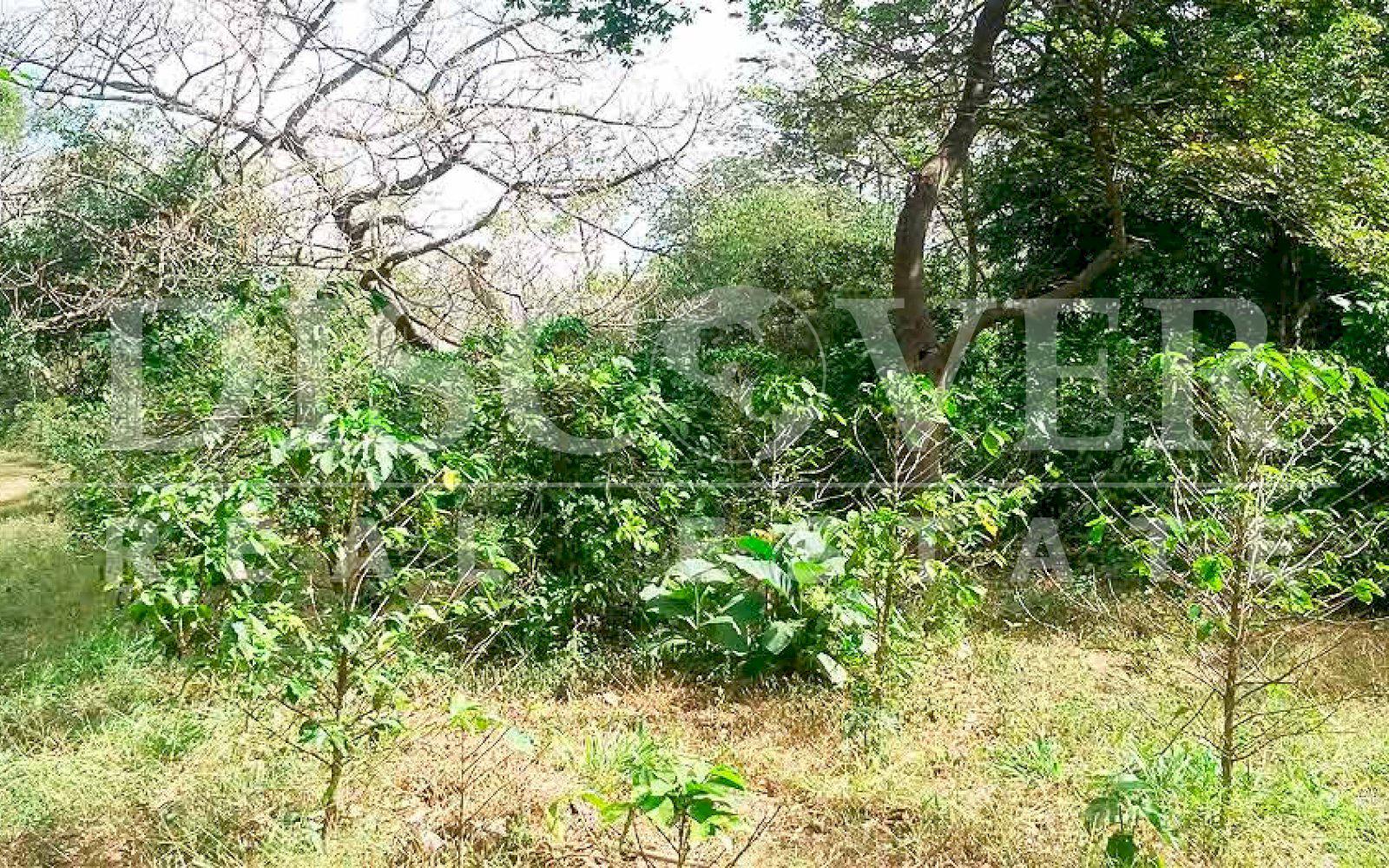 https://images.discovernica.com/propiedad/1600/finca_venta_san_marcos_carazo_id_10071_4.jpg