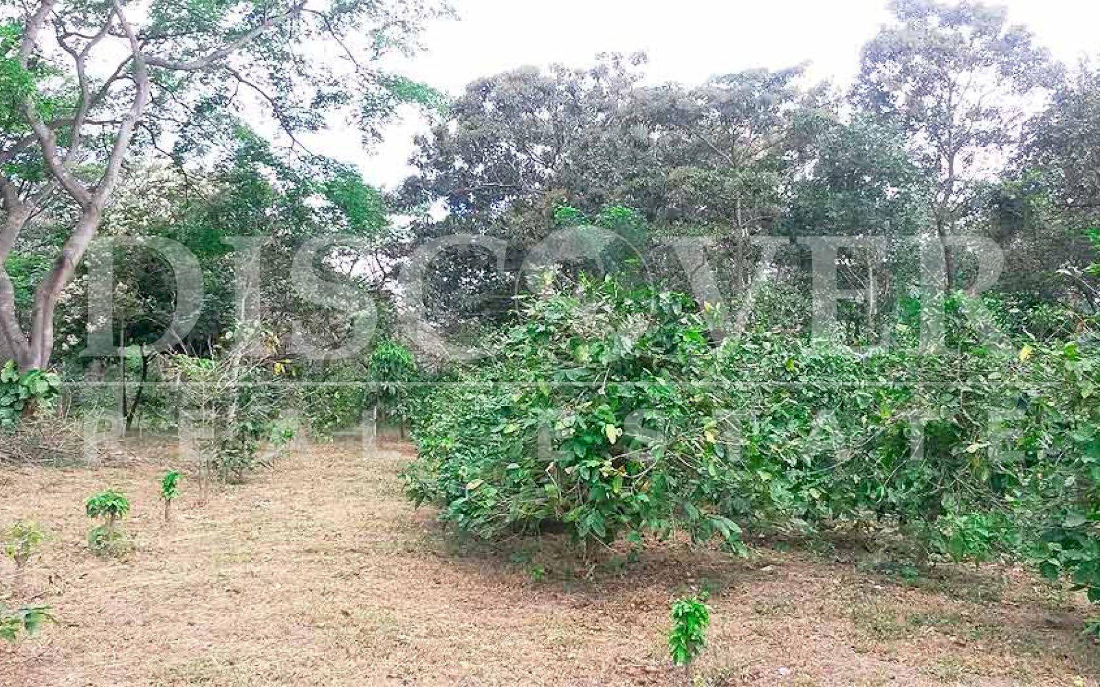 https://images.discovernica.com/propiedad/1600/finca_venta_san_marcos_carazo_id_10071_5.jpg