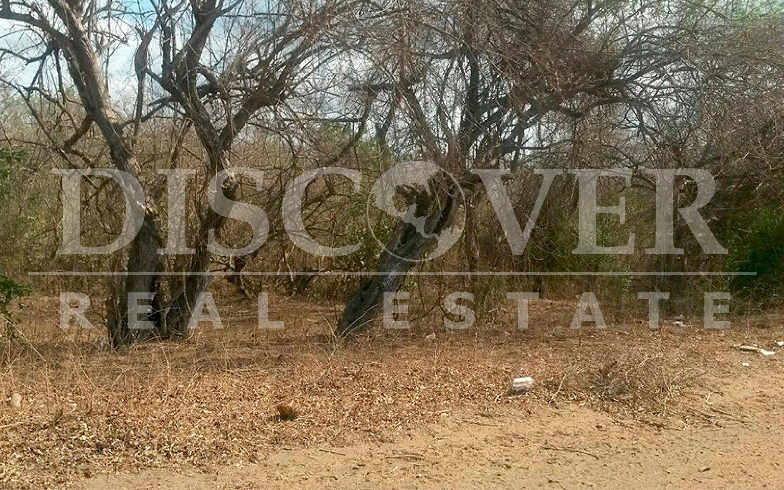https://images.discovernica.com/propiedad/1600/finca_venta_veracruz_carretera_masaya_managua_id_9849_3.jpg