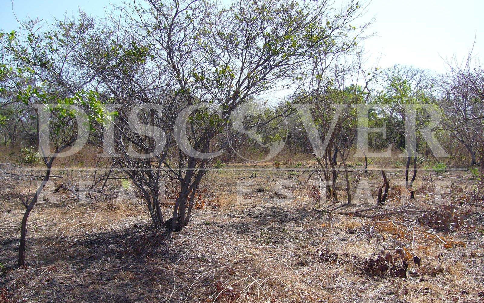  Farm for Sale in Villa El Carmen, Managua ID878