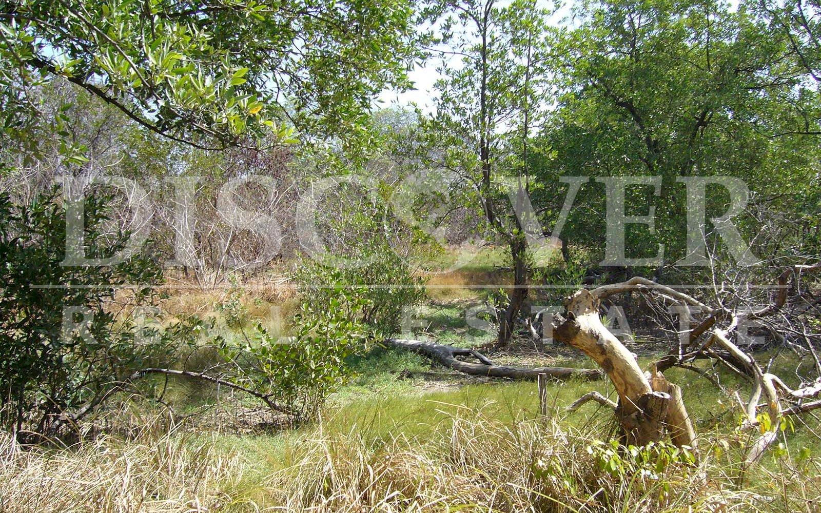  Farm for Sale in Villa El Carmen, Managua ID878