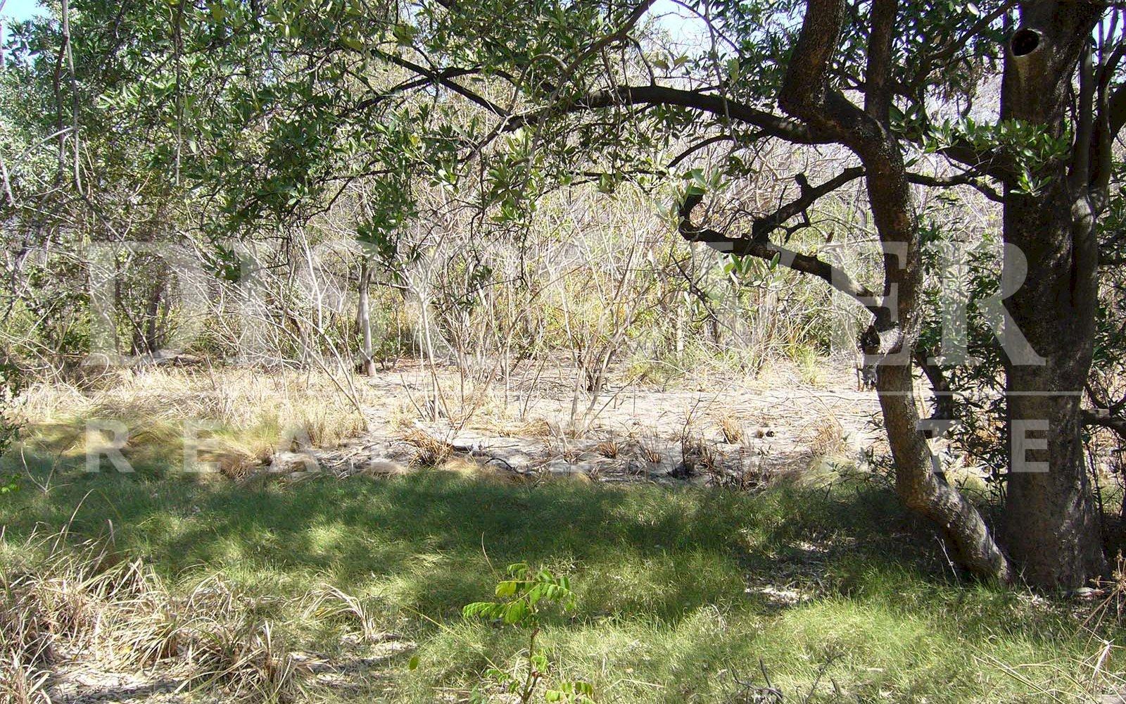  Farm for Sale in Villa El Carmen, Managua ID878