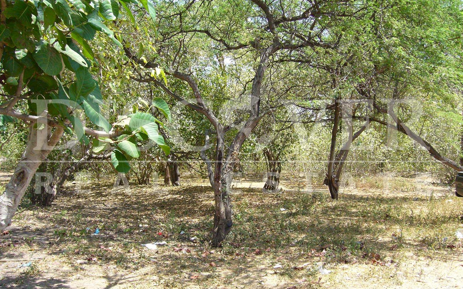  Farm for Sale in Villa El Carmen, Managua ID878