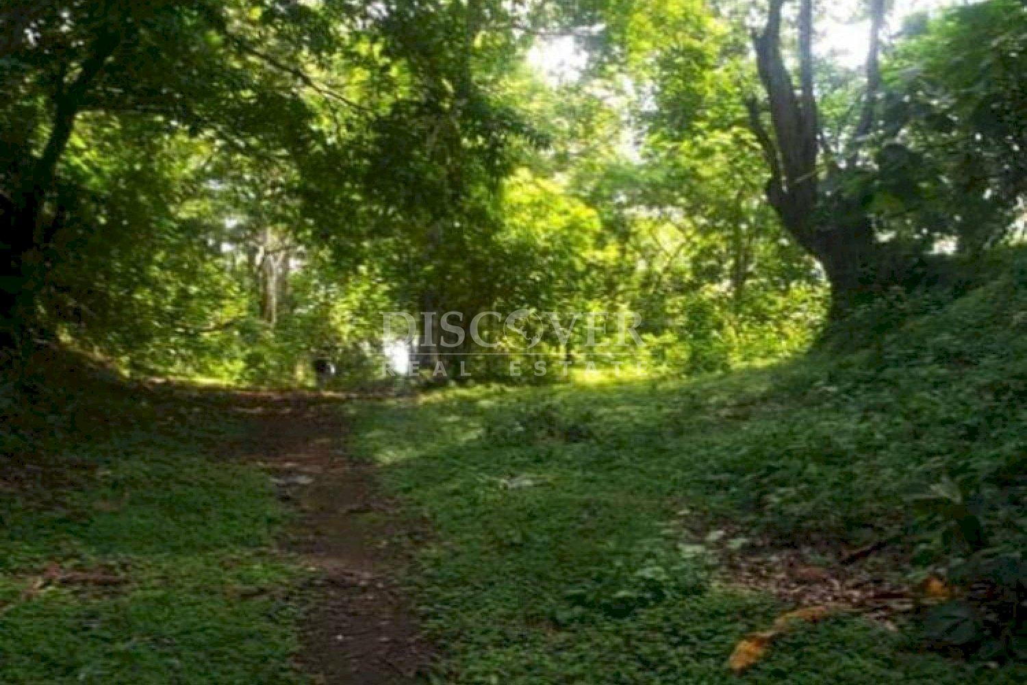  Land for sale with views of Laguna de Apoyo - Granada