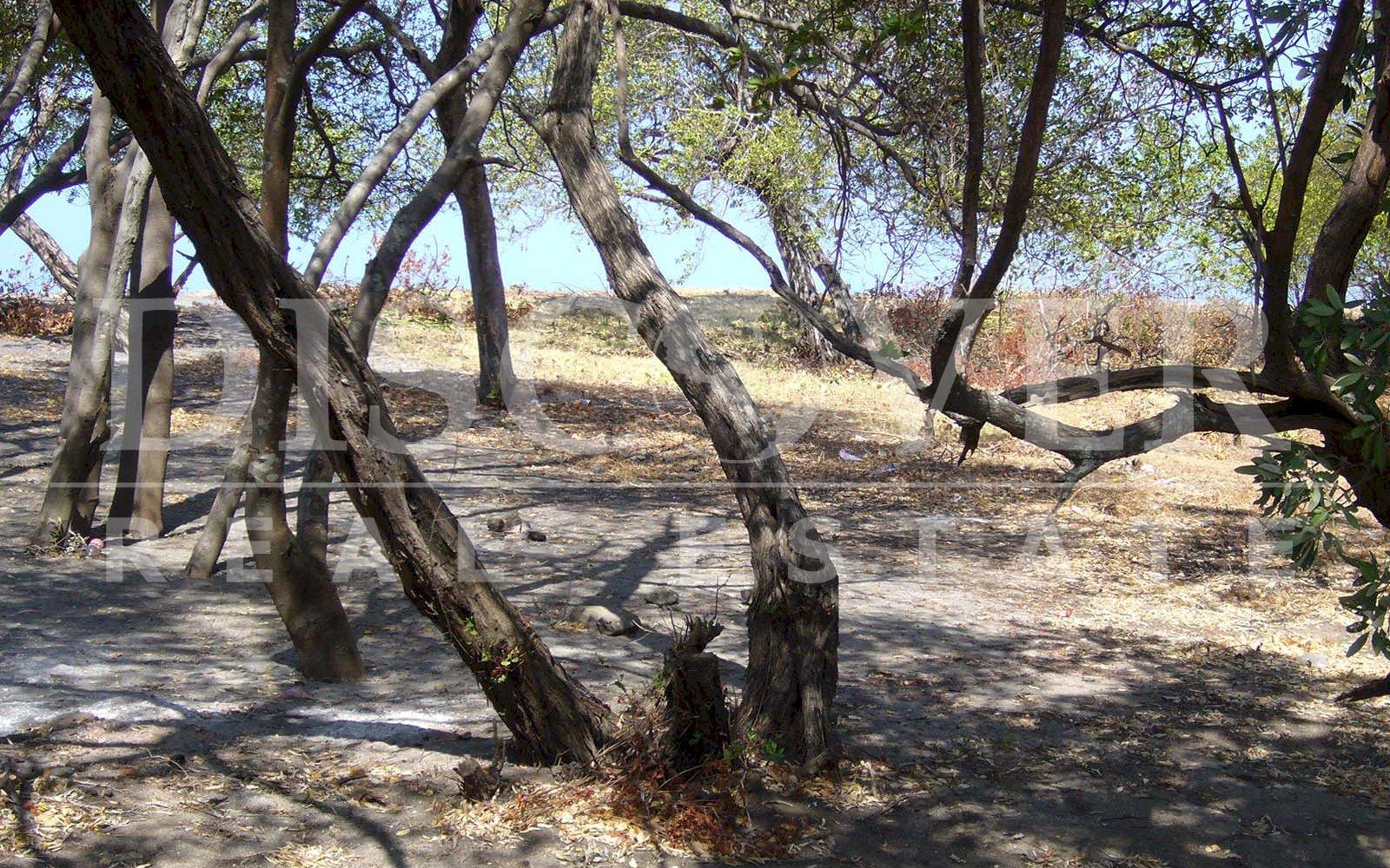https://images.discovernica.com/propiedad/1600/foto4.jpg