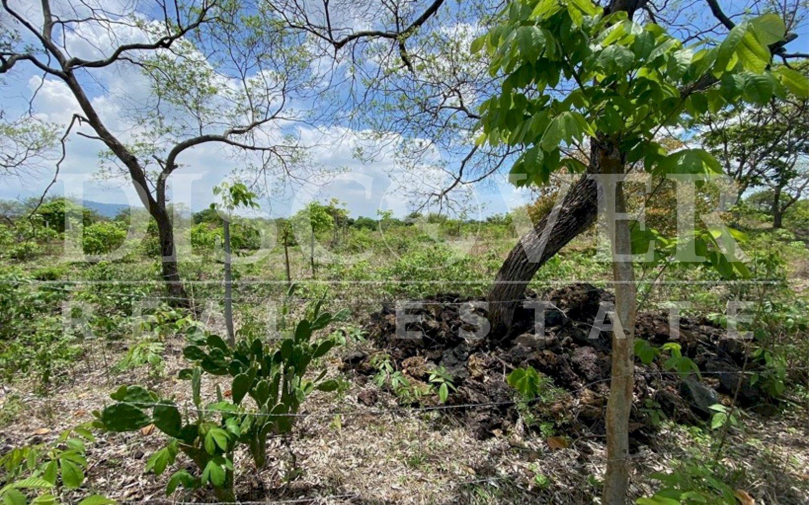 https://images.discovernica.com/propiedad/1600/fqw3ef2wefwf.jpg