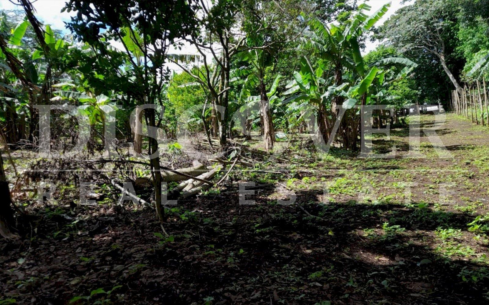 https://images.discovernica.com/propiedad/1600/fqwefgwegawg.jpg