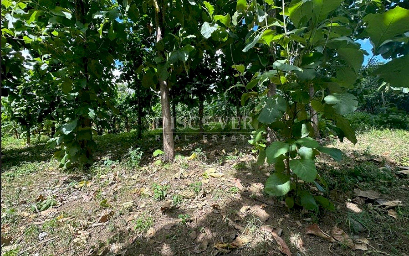 https://images.discovernica.com/propiedad/1600/frgthyjuyhklij_o.jpg