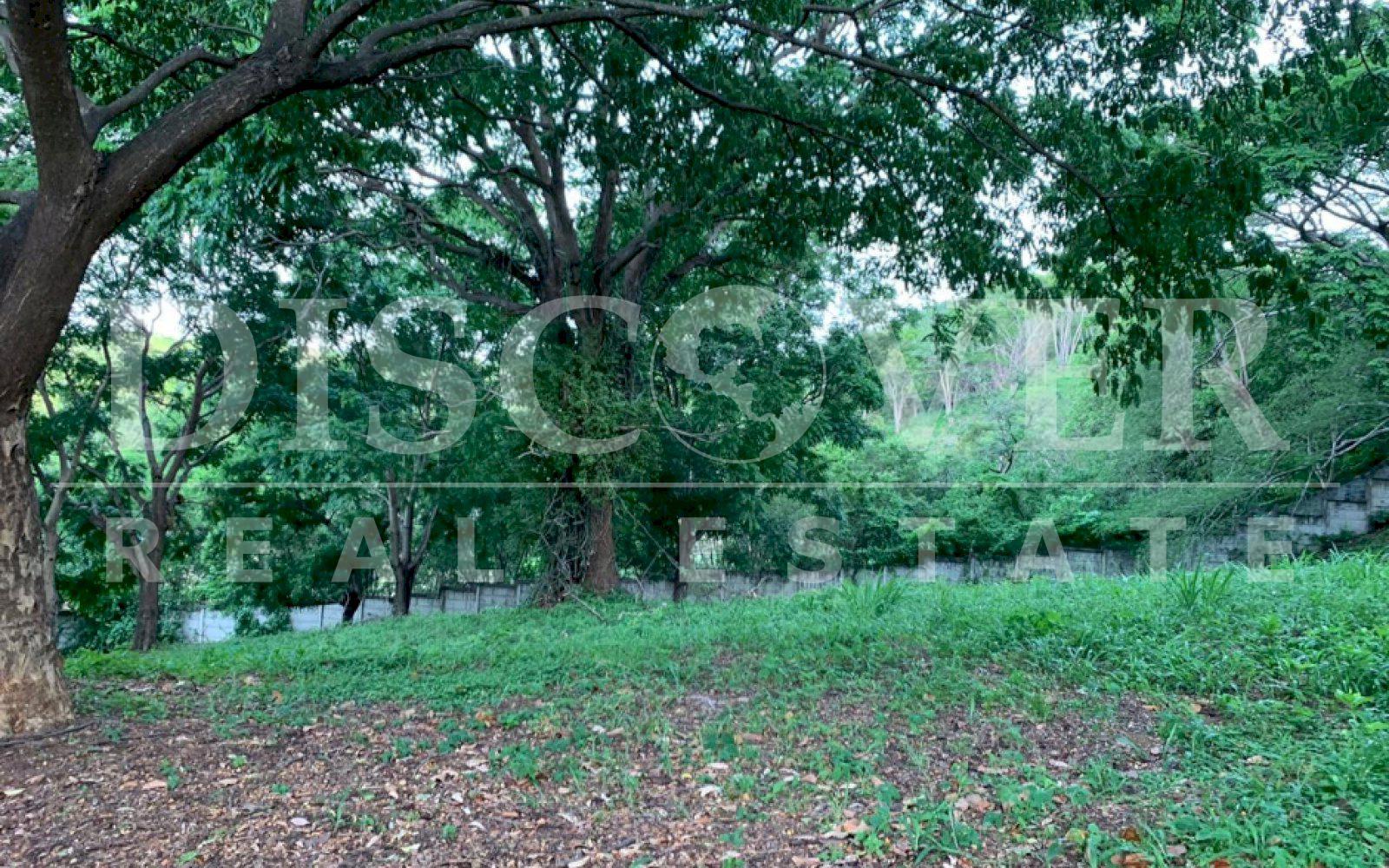 https://images.discovernica.com/propiedad/1600/fvwervwervwqrv.jpg
