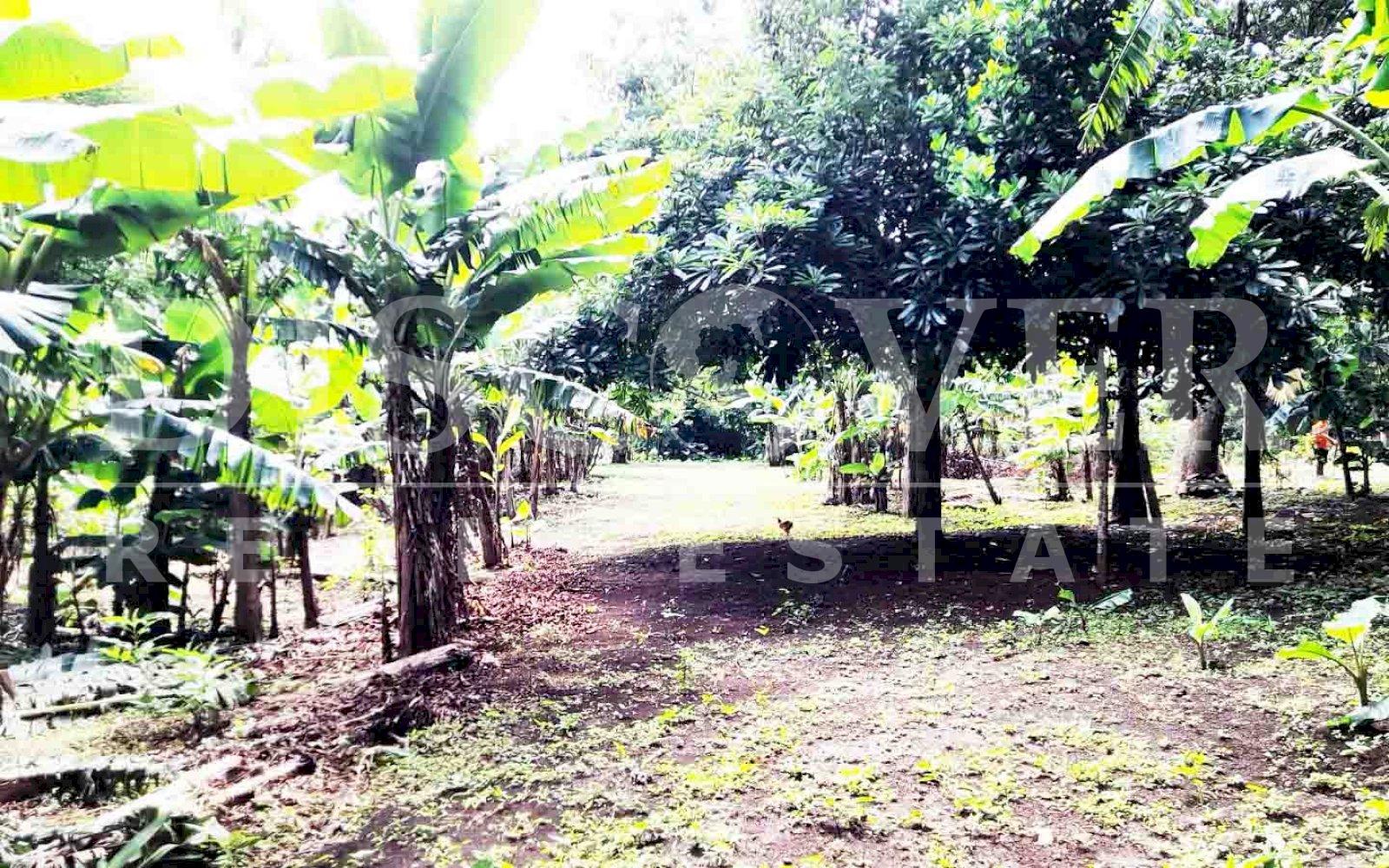 https://images.discovernica.com/propiedad/1600/fw3efwefwg.jpg
