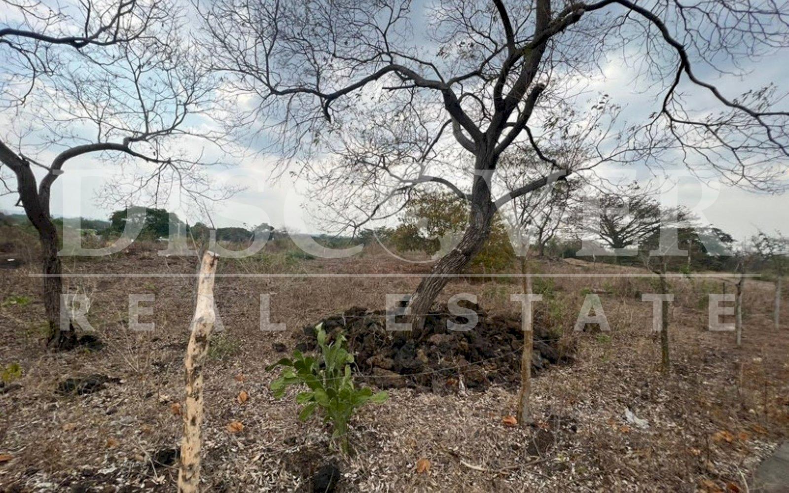 https://images.discovernica.com/propiedad/1600/fwecfwefwef.jpg