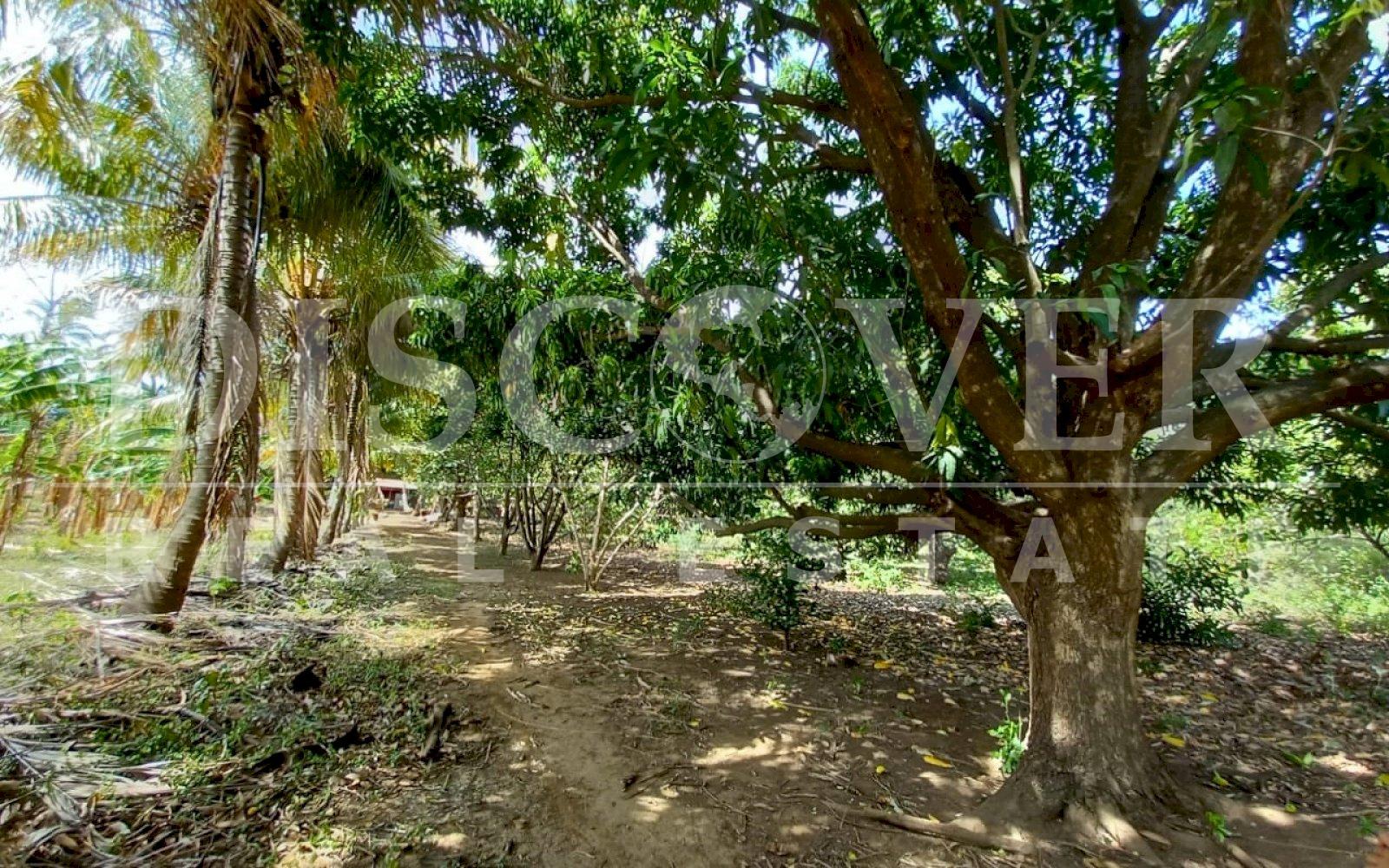 Imagen 4 de la galería