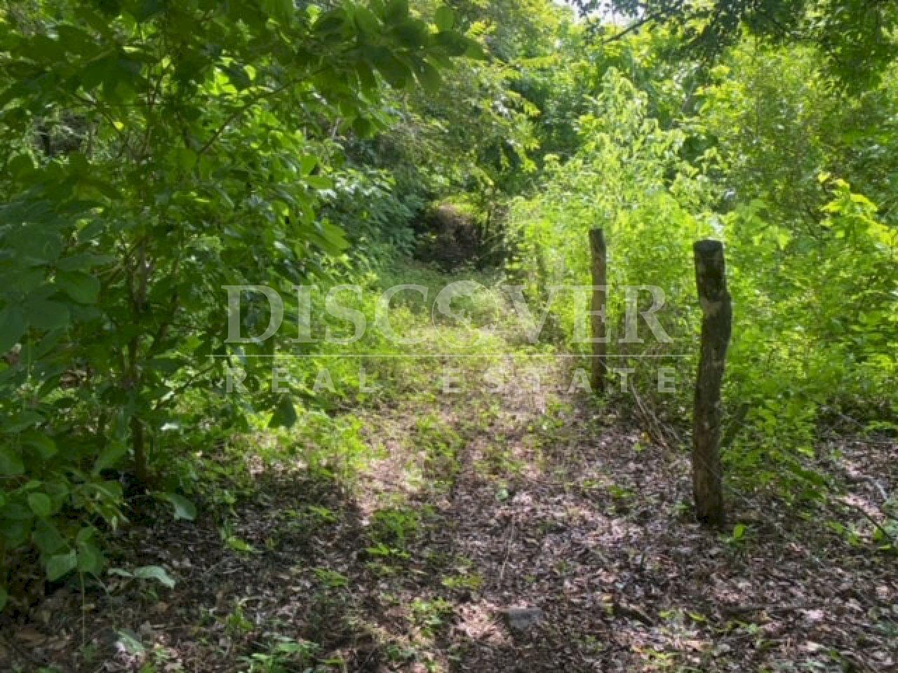 https://images.discovernica.com/propiedad/1600/fwefwgg.jpg