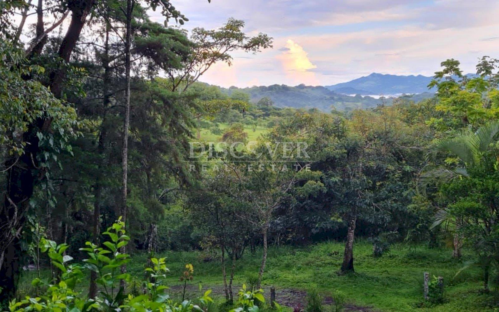 https://images.discovernica.com/propiedad/1600/fweg4e5rhrtjyk.jpg