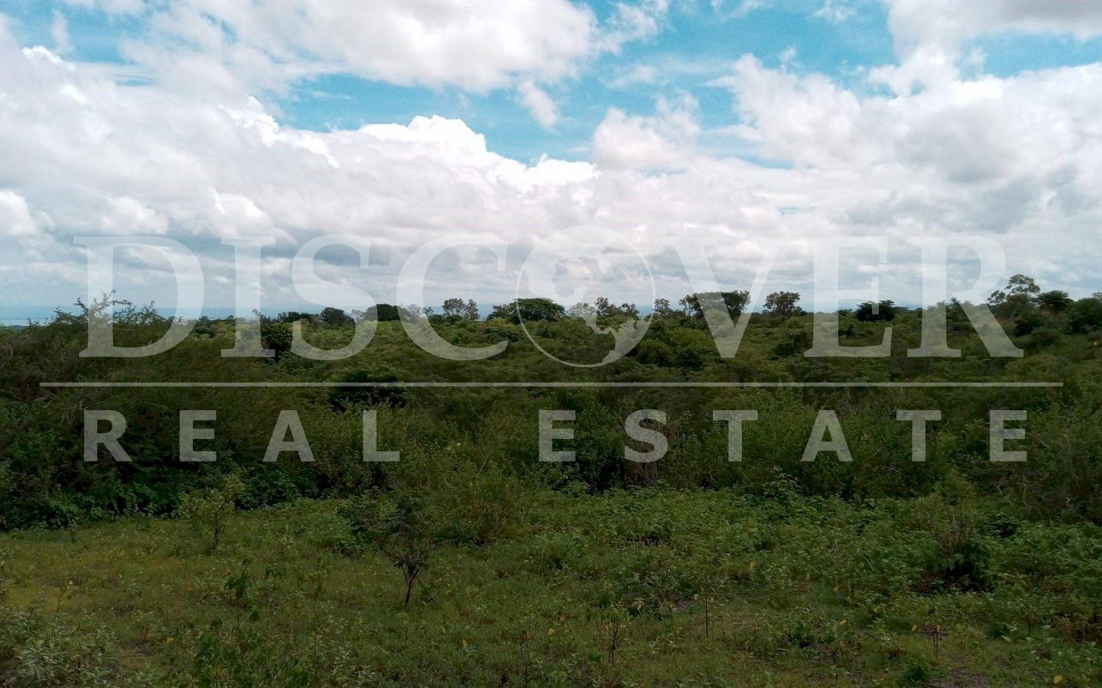 https://images.discovernica.com/propiedad/1600/fweghtrjdtyj.jpg
