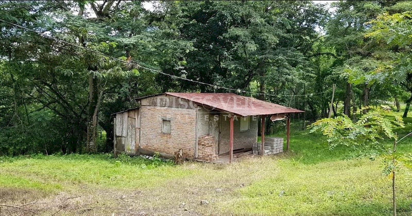  800 Mz Farm for Sale in Muy Muy