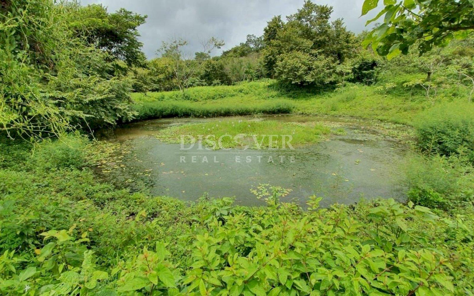 https://images.discovernica.com/propiedad/1600/fwergf34rgrg.jpg