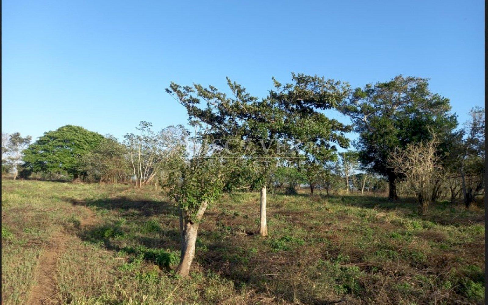 Imagen 2 de la galería