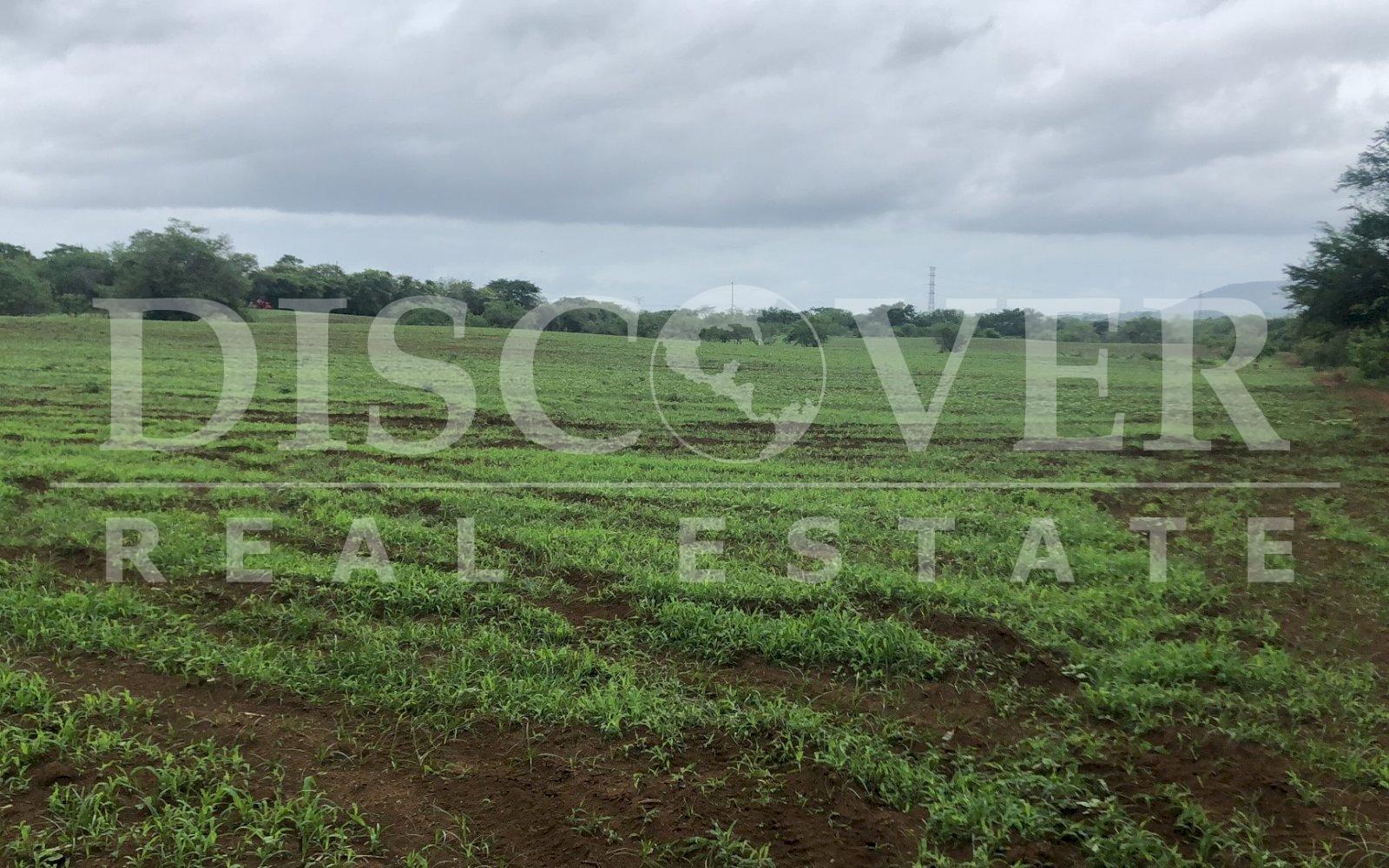  26.10 acres Land for Sale located in Nindiri ID 10696
