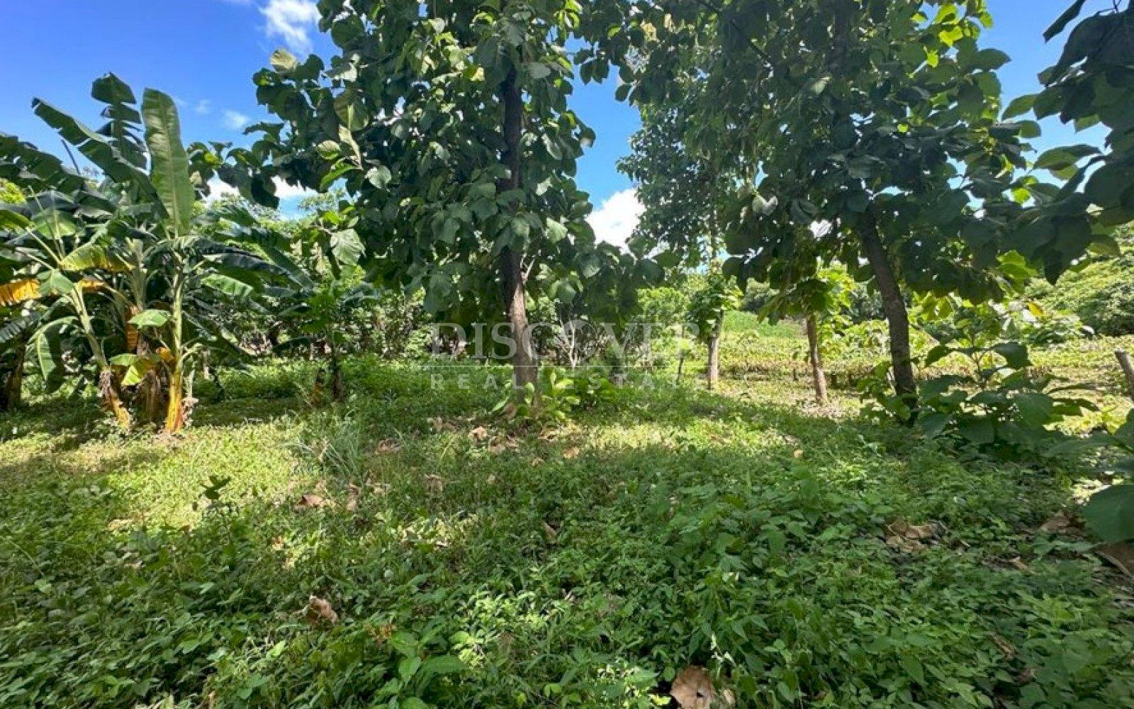 https://images.discovernica.com/propiedad/1600/fwesrghtfjkuhijlko.jpg