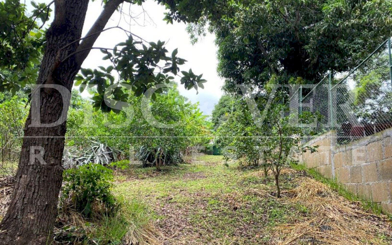  Land for Sale in Jocote Dulce ID 12737