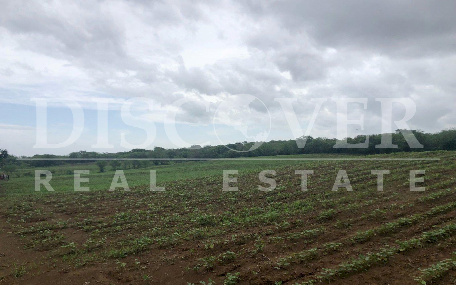  26.10 acres Land for Sale located in Nindiri ID 10696