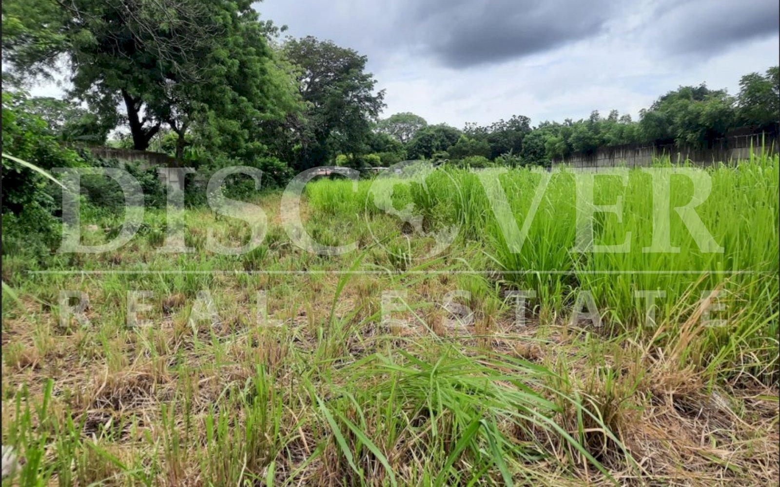 https://images.discovernica.com/propiedad/1600/g3wrge45hh.jpg