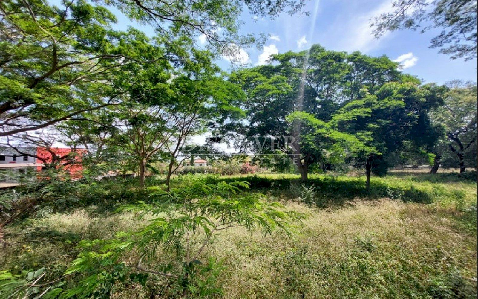 Imagen 4 de la galería