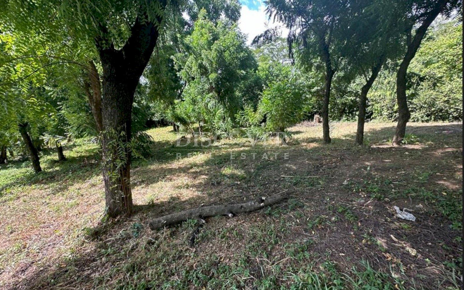 https://images.discovernica.com/propiedad/1600/gerhtfjyykyu.jpg