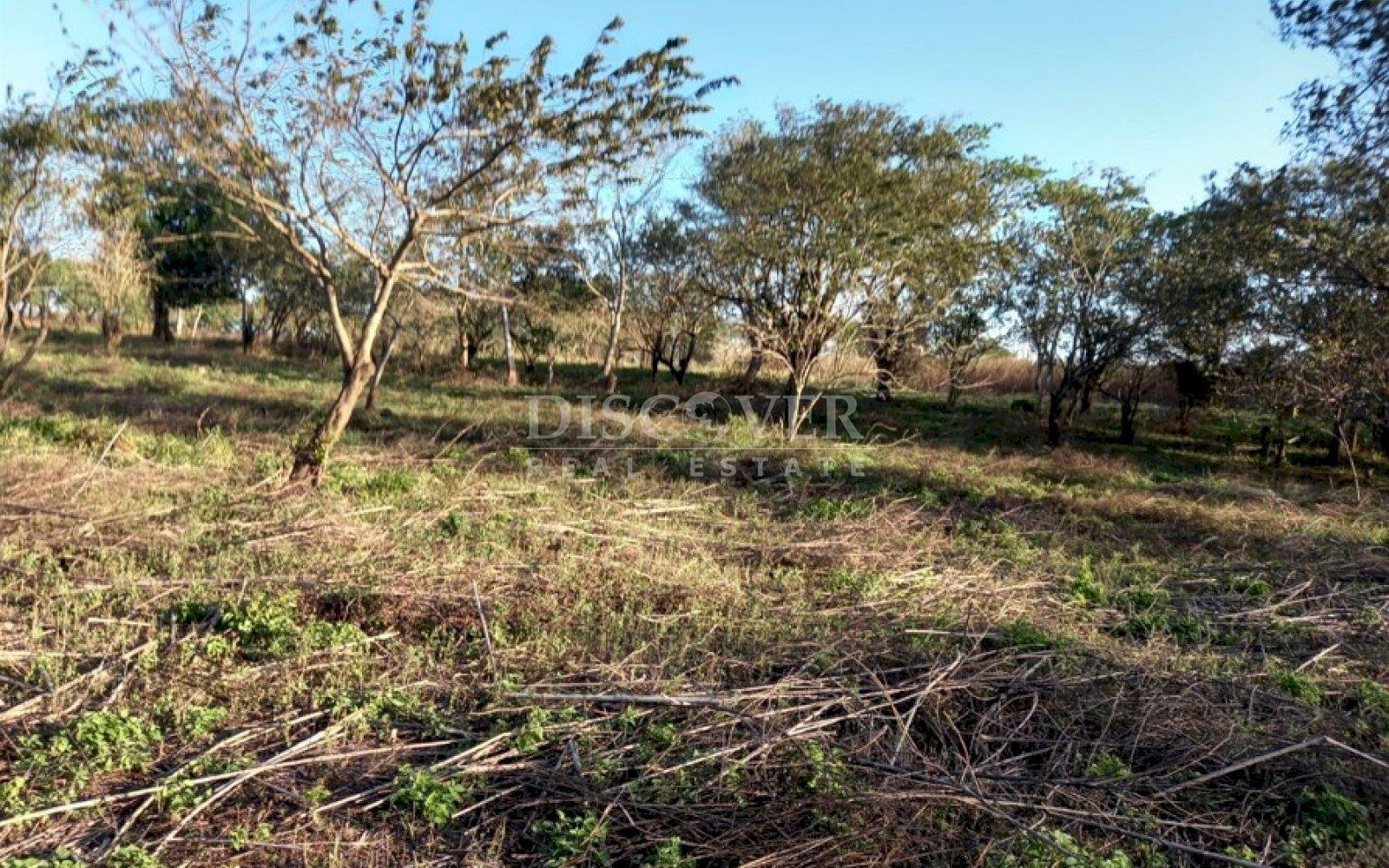 Imagen 3 de la galería