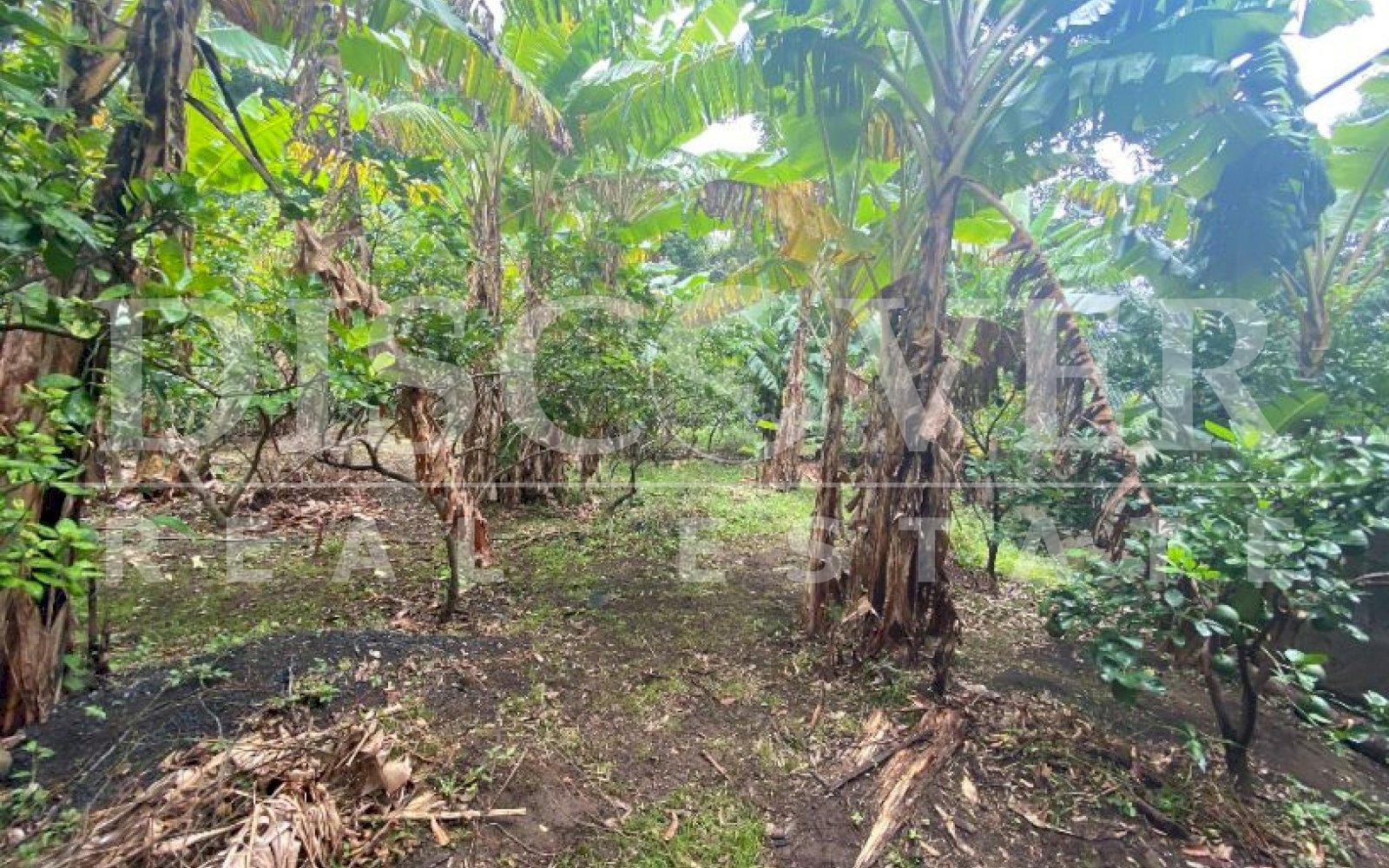  Land for Sale in Jocote Dulce ID 12737